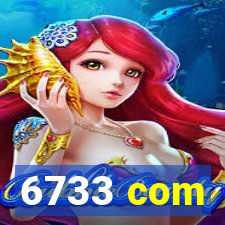 6733 com